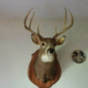 Meet your Posher, Ray